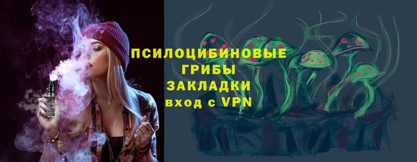 сатива Няндома