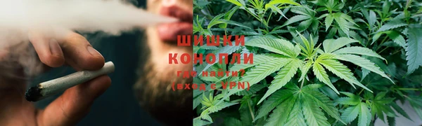 винт Нягань
