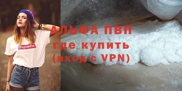 сатива Няндома