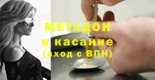 сатива Няндома