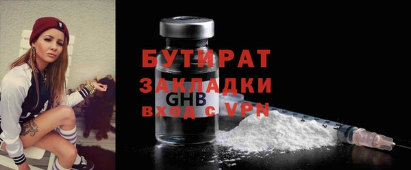 сатива Няндома