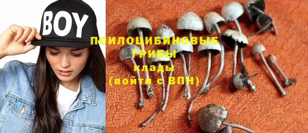 сатива Няндома