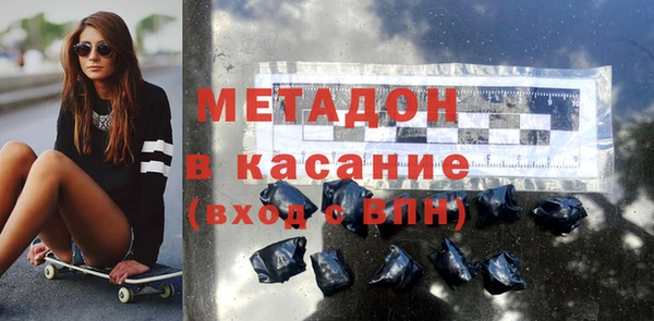 сатива Няндома