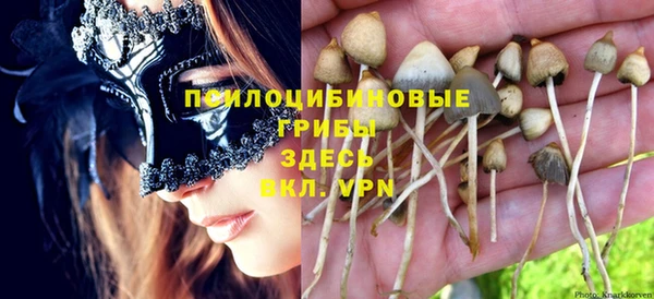 мескалин Нязепетровск