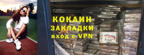 сатива Няндома