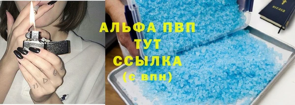 сатива Няндома