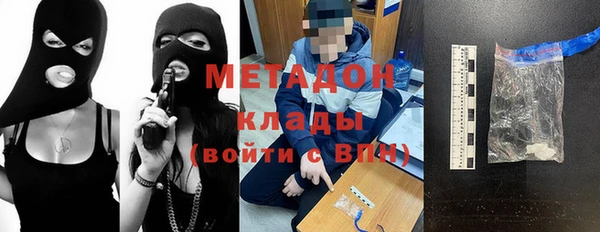 сатива Няндома